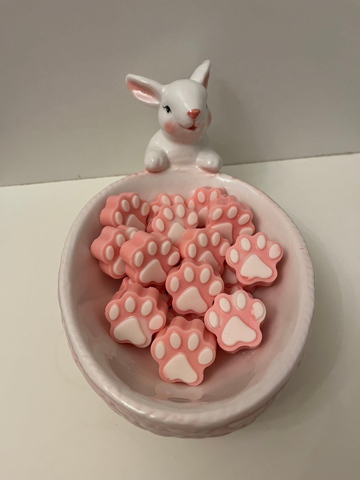 Charity Paws