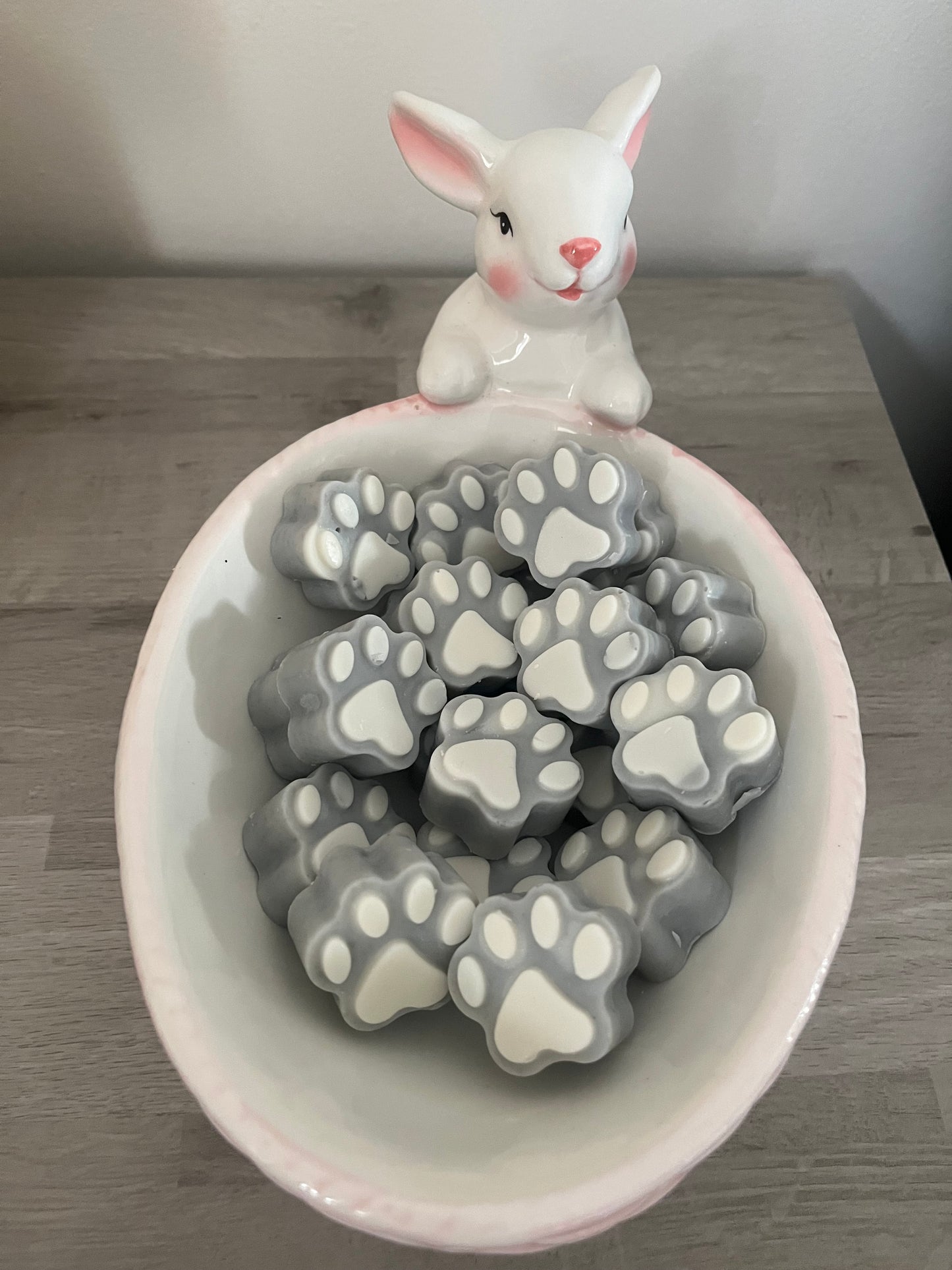 Charity Paws