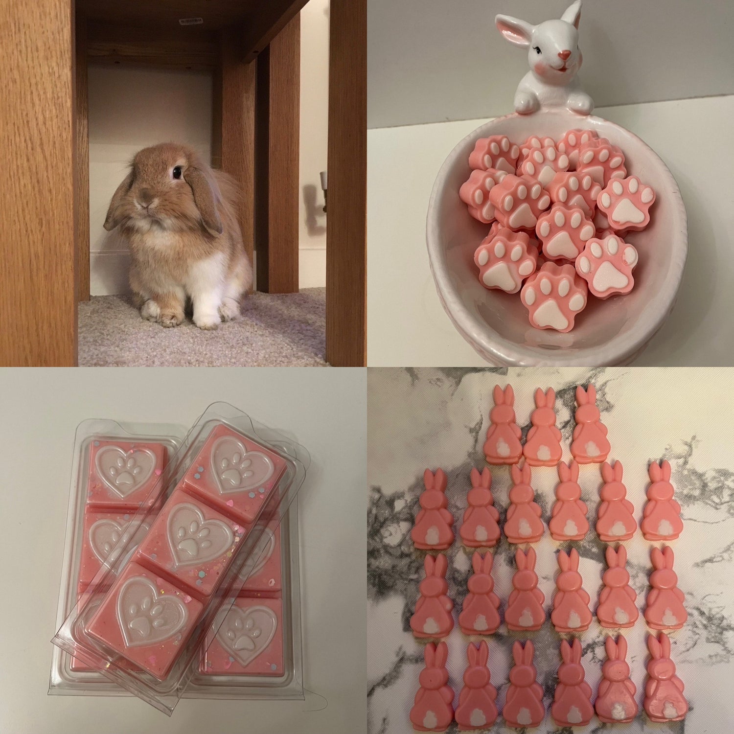 Charity Products